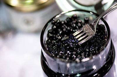 Sirop de bouleau