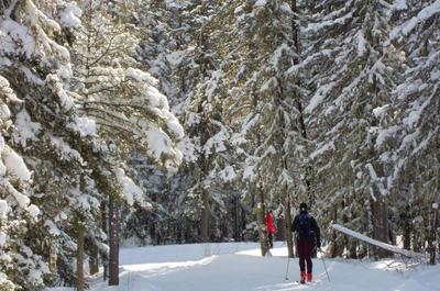 Sentiers ski de fond   © Les Sentiers de la Rivière Amédée