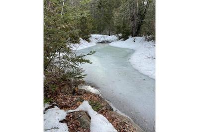 Étang en hiver