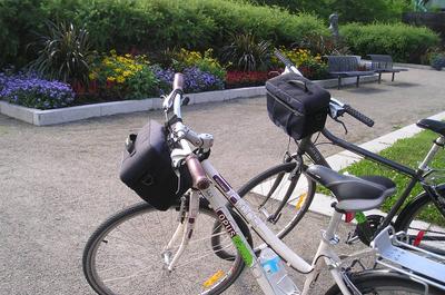 Location de vélo