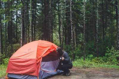 Camping en forêt   © M.Crépin