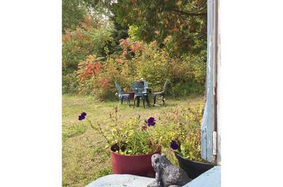 Jardin fleuri