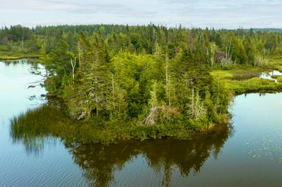 Lac des Robin_2   © D.Racine