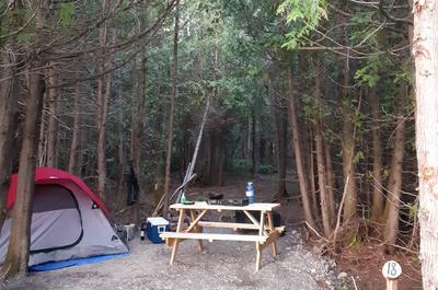 Site 18_Secteur du Ruisseau