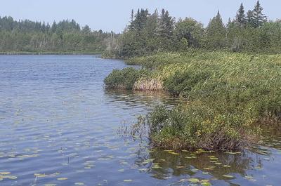 Lac des Robin_1