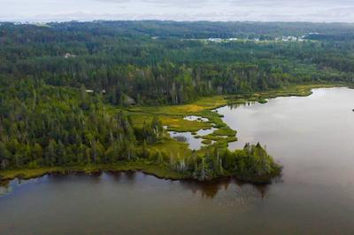 Lac des Robin_3   © D.Racine