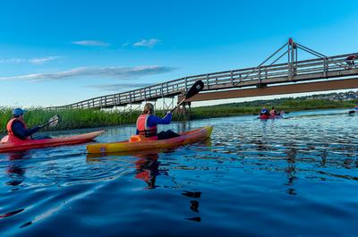Kayak