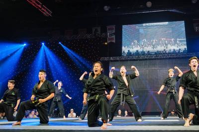Championnat international d’arts martiaux Québec Open