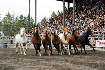 Festival Country Saint-Antonin