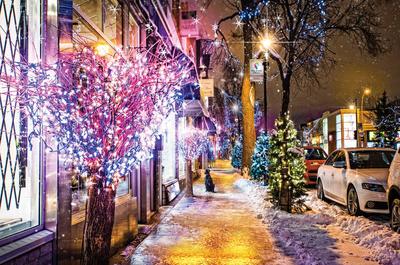Promenade en hiver   © La Promenade Fleury