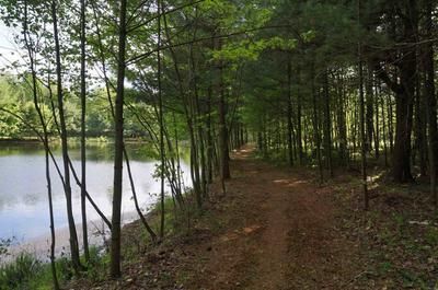 Sentier autour du lac