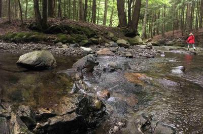 La rivière