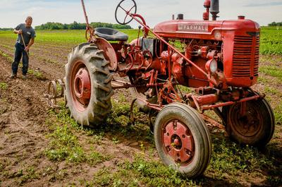 Tracteur   © Ferme Guillaume Létourneau