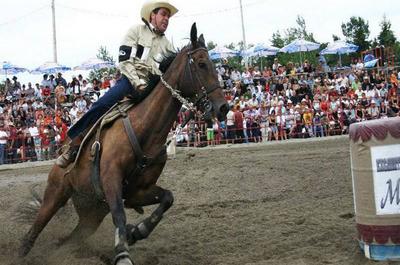 Compétitions de Gymkhana
