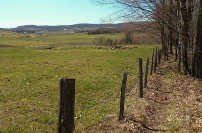 Sentier en nature