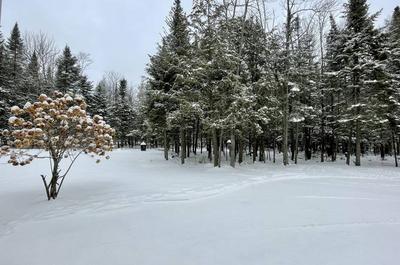 Terrain intime et boisé 2 acres