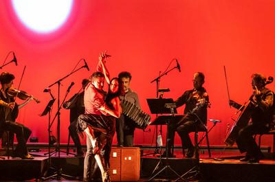 Concerts aux Îles du Bic
