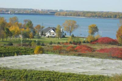 Le vignoble en octobre