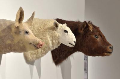 Animal heads 2010   © Artiste: K.Waldron / Photo: D.Roussel