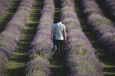 Sentiers de marche   © G.St-Amand