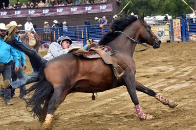 Chevaux