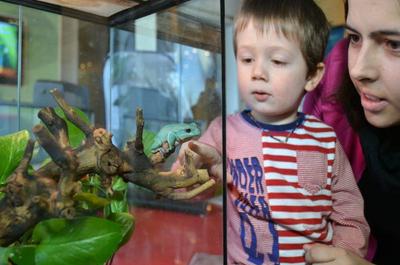 Vivarium