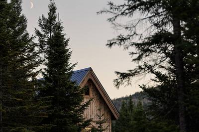 En forêt