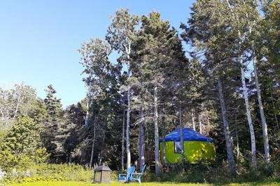 Chaque yourte dans un environnement boisé