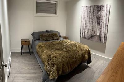 Chambre sous-sol avec foyer électrique