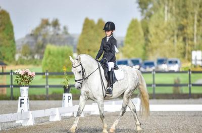 Caballista – Championnat d’équitation classique du Québec