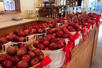 Paniers de pommes