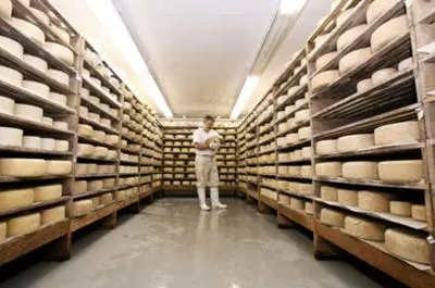 Fromagerie le mouton blanc