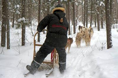 Randonnée en traîneau à chiens   © Chenil du Chien-Loup