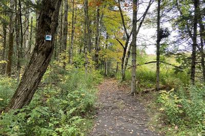 Sentier   © Missisquoi Nord - Parcours de la vallée