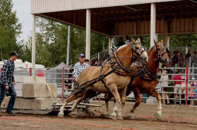 Festival western de Malartic
