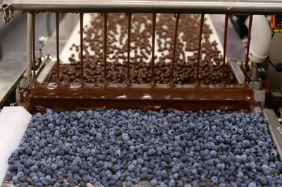 Bleuets enrobés de chocolats