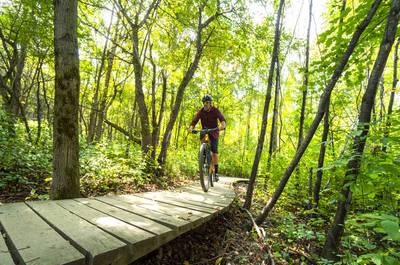 Mont Oak en été - vélo de montagne