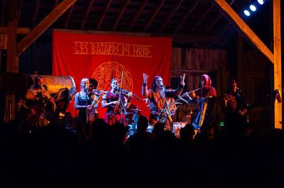 Concert de musique   © Bicolline