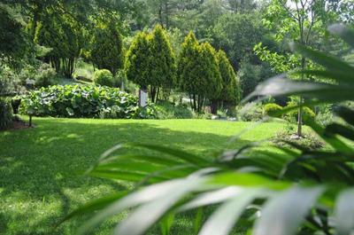 Vue du Jardin