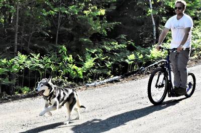 Cani-trottinette en été   © G.Fiset