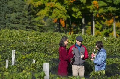 Rencontre avec le vigneron   © J.-F.Bergeron