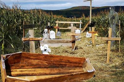 Décor spécial pour l'Halloween   © Ferme Guy Rivest