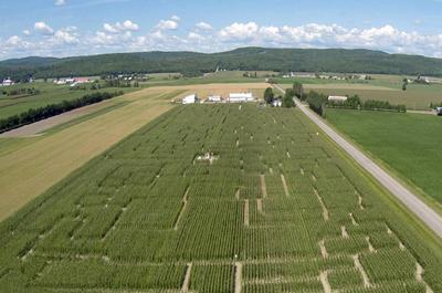 Vue aérienne du labyrinthe   © Ferme Guy Rivest