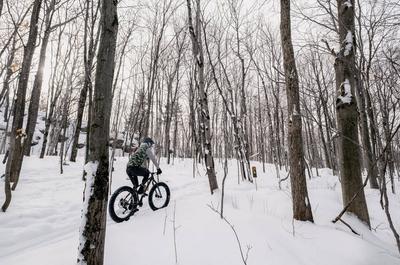 Parc de la Rivière-Etchemin en hiver   © F.Fontaine