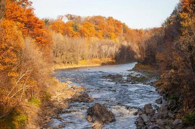 Parc de la Rivière-Etchemin en automne   © D.Gagnon