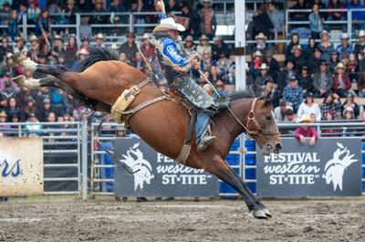 Cheval avec selle   © Birtz Photographie