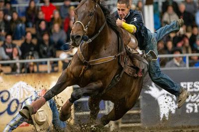 Échange de cavaliers   © Birtz Photographie