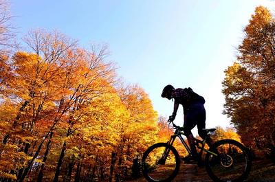 Vélo de montagne Mont SUTTON - Plein air Sutton MT   © B.Brault