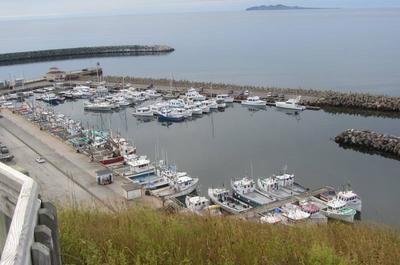 Vue d'ensemble   © Club Nautique de Cap-aux-Meules inc.