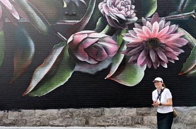Visite des murales de Montréal par Guidatour   © Guidatour